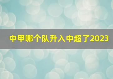 中甲哪个队升入中超了2023