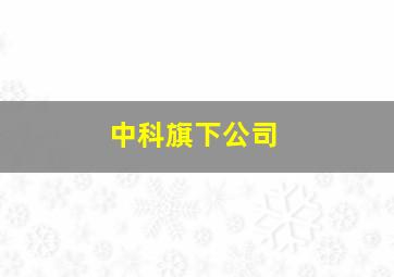 中科旗下公司