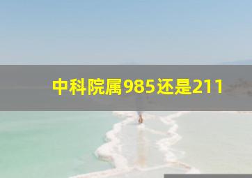 中科院属985还是211