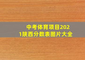 中考体育项目2021陕西分数表图片大全