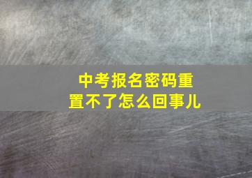 中考报名密码重置不了怎么回事儿