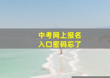 中考网上报名入口密码忘了