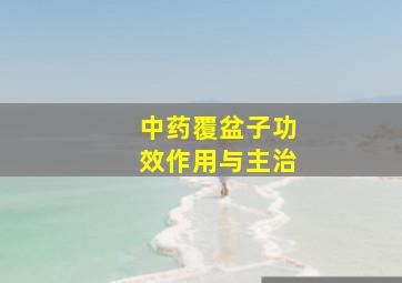 中药覆盆子功效作用与主治