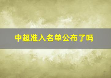 中超准入名单公布了吗