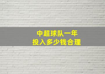 中超球队一年投入多少钱合理