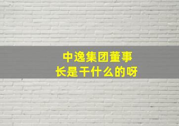 中逸集团董事长是干什么的呀