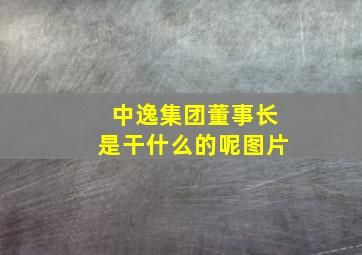 中逸集团董事长是干什么的呢图片