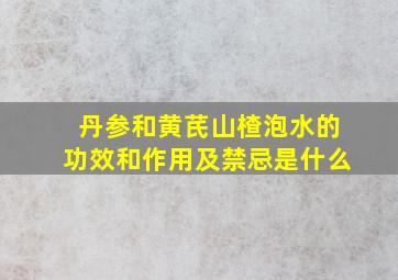 丹参和黄芪山楂泡水的功效和作用及禁忌是什么