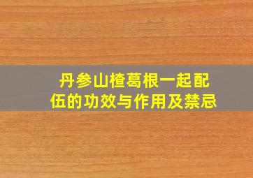 丹参山楂葛根一起配伍的功效与作用及禁忌