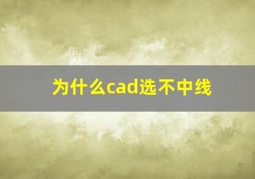 为什么cad选不中线