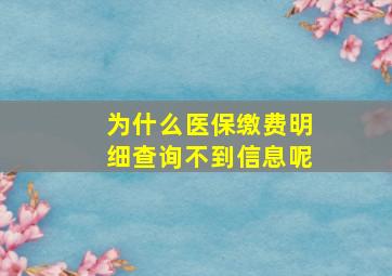 为什么医保缴费明细查询不到信息呢