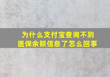 为什么支付宝查询不到医保余额信息了怎么回事