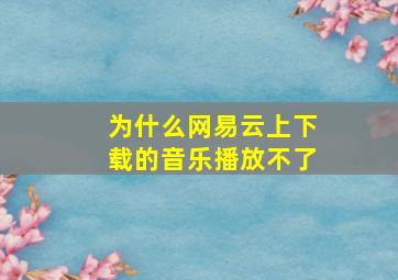 为什么网易云上下载的音乐播放不了