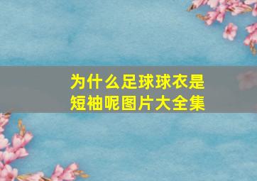 为什么足球球衣是短袖呢图片大全集