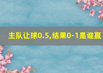 主队让球0.5,结果0-1是谁赢