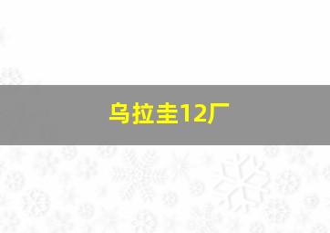 乌拉圭12厂