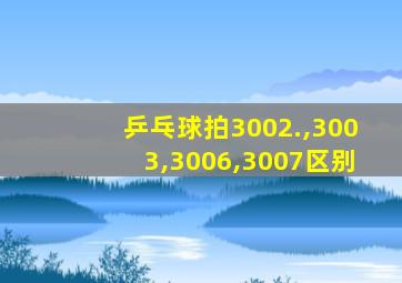 乒乓球拍3002.,3003,3006,3007区别