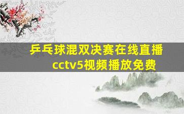 乒乓球混双决赛在线直播cctv5视频播放免费