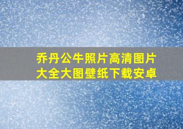 乔丹公牛照片高清图片大全大图壁纸下载安卓