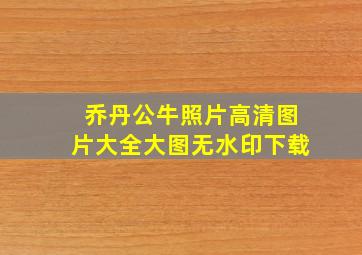 乔丹公牛照片高清图片大全大图无水印下载