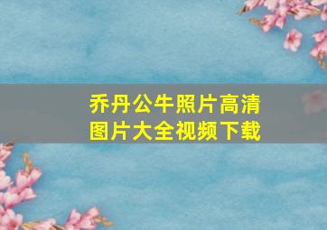 乔丹公牛照片高清图片大全视频下载