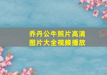 乔丹公牛照片高清图片大全视频播放