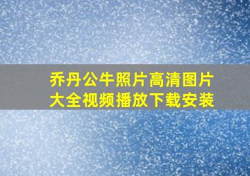 乔丹公牛照片高清图片大全视频播放下载安装