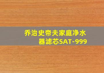 乔治史帝夫家庭净水器滤芯SAT-999