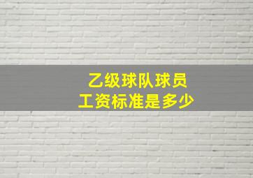 乙级球队球员工资标准是多少