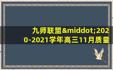 九师联盟·2020-2021学年高三11月质量检测巩固卷