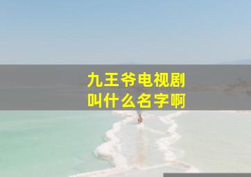 九王爷电视剧叫什么名字啊