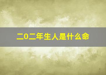 二0二年生人是什么命