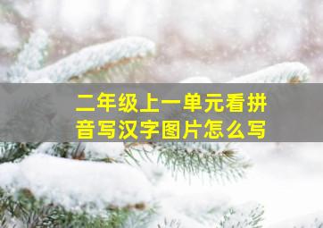 二年级上一单元看拼音写汉字图片怎么写