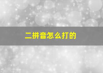 二拼音怎么打的