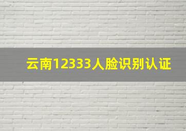 云南12333人脸识别认证