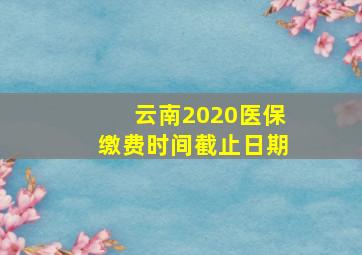 云南2020医保缴费时间截止日期