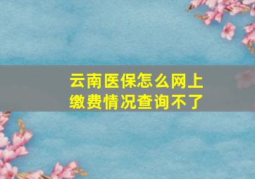 云南医保怎么网上缴费情况查询不了