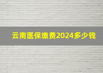 云南医保缴费2024多少钱