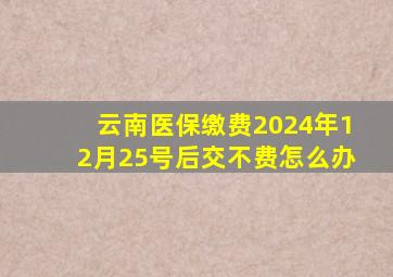 云南医保缴费2024年12月25号后交不费怎么办