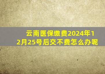 云南医保缴费2024年12月25号后交不费怎么办呢