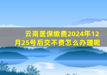 云南医保缴费2024年12月25号后交不费怎么办理呢