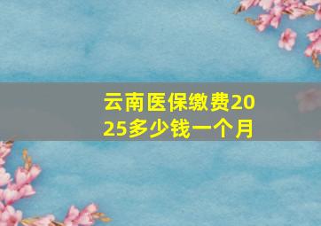 云南医保缴费2025多少钱一个月