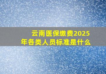 云南医保缴费2025年各类人员标准是什么