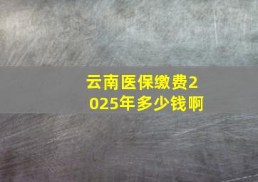 云南医保缴费2025年多少钱啊