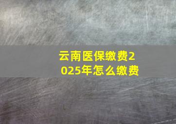 云南医保缴费2025年怎么缴费