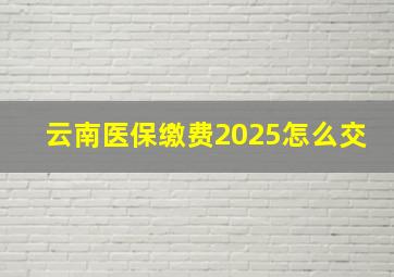 云南医保缴费2025怎么交