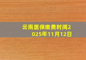 云南医保缴费时间2025年11月12日