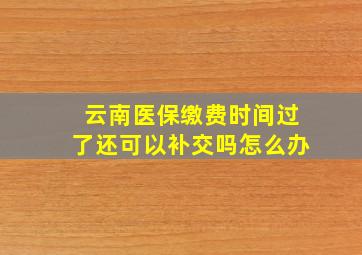 云南医保缴费时间过了还可以补交吗怎么办