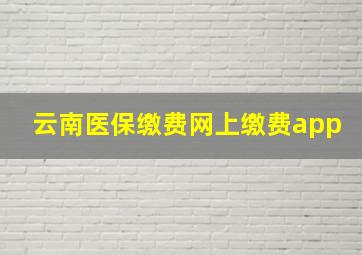 云南医保缴费网上缴费app