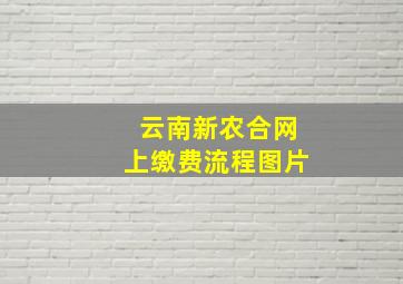 云南新农合网上缴费流程图片